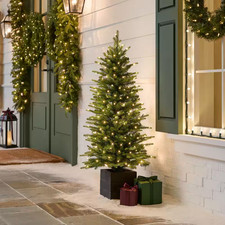 4 Ft Potted SMART Grand Duchess Twinkling Balsam Fir LED Pre-Lit Tree T40