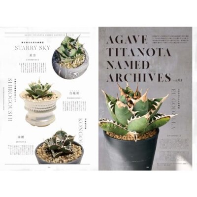 INDOOR JUNGLE No.04 2024 Japan Magazine Agave New Order