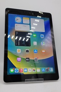 Apple iPad 5.Gen A1822 WiFi Space Grau 32GB Displayschaden #5118