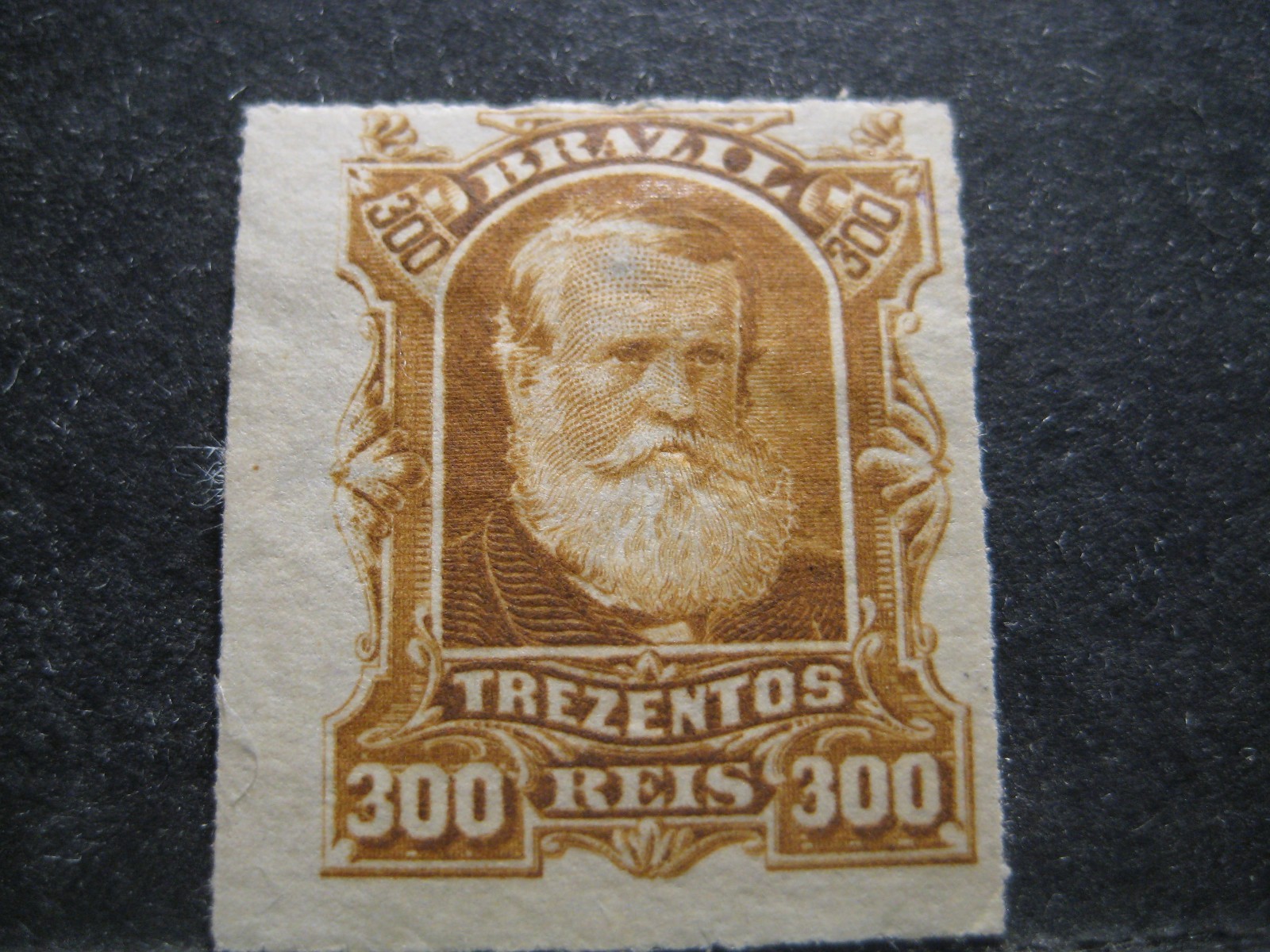 Brazil #75 Mint Never Hinged- WDWPhilatelic (M1Y)  (3/26)