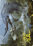 Gold Stamp Art Series HORNED LOCH-WHALE mtg NM-M Wilds of Eldraine