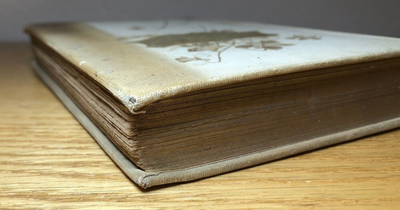 1894 Because I Love You - Poems of Love Selected by Anna E. Mack ...