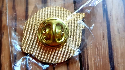 Original NIKON D1x Anstecker / NIKON PIN D1x- Classic-Camera-STORE - - Picture 2 of 2