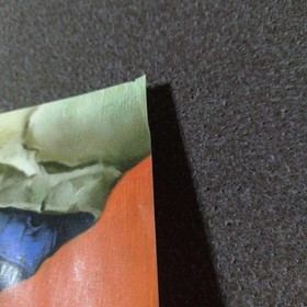 Panzer Dragoon Sega Saturn with Spine Card and Manual Japanese Version used