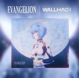 Wallhack Evangelion | eBay
