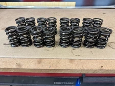 PAC Racing Spring 1.550" OD Solid Roller Dual Valve Spring