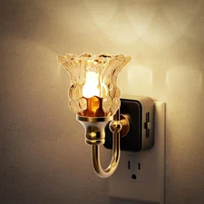 Night Light, Floral Night Lights Plug into Wall, Glass Flower LED Nightlight,...