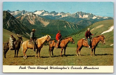 Pack Train Through Washington's Cascade Mountains Vintage Postcard