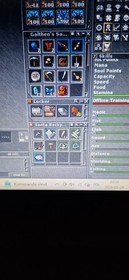 Tibia RP