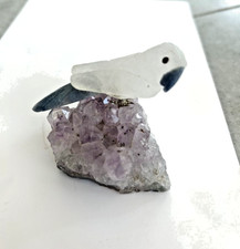 Amethyst mit Grauschnabelpapagei. Hast du so einen süßen, kleinen Vogel? Deko