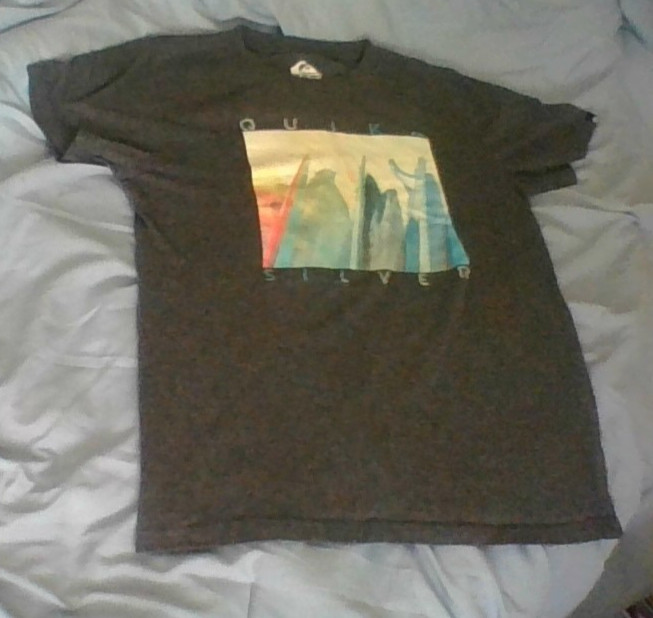 Quik Silver Surfboard Graphic T-Shirt Short Slv Gray Boys Size L (14/16) Beach