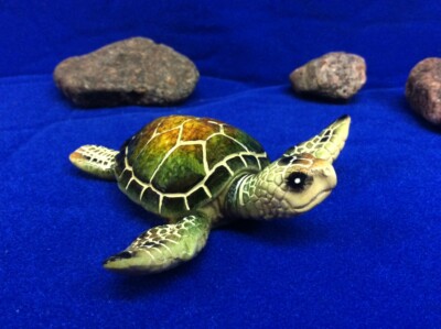 Sea Turtle Reptile Or Amphibian OUT Of Turtle Little Green Ocean