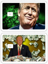 Donald Trump Money Credit Debit Card Skin MAGA Holographic Sticker ATM Green USA