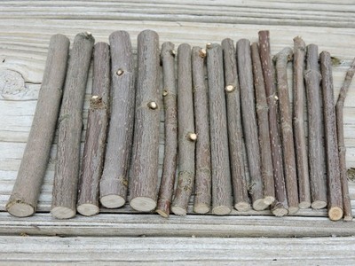 Maple Wood Stick Natural Tree Branch Twig Smooth Bark Live Edge Decor DIY Crafts