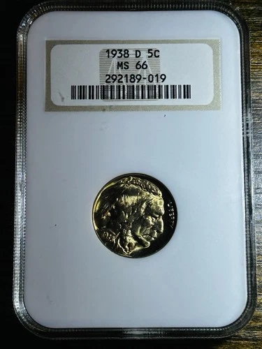 NGC MS-66 1938-D Buffalo Nickel, Beautiful Gold Toned, Superb Gem! Old NGC Fatty