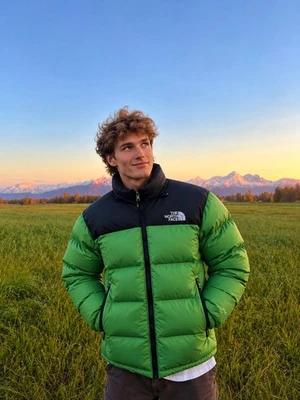 The North Face Nuptse 700
