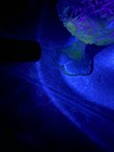 Kemple Glass Works Blue Candy Dish “No 7 Toltec” Black Light Reactive — photo 9