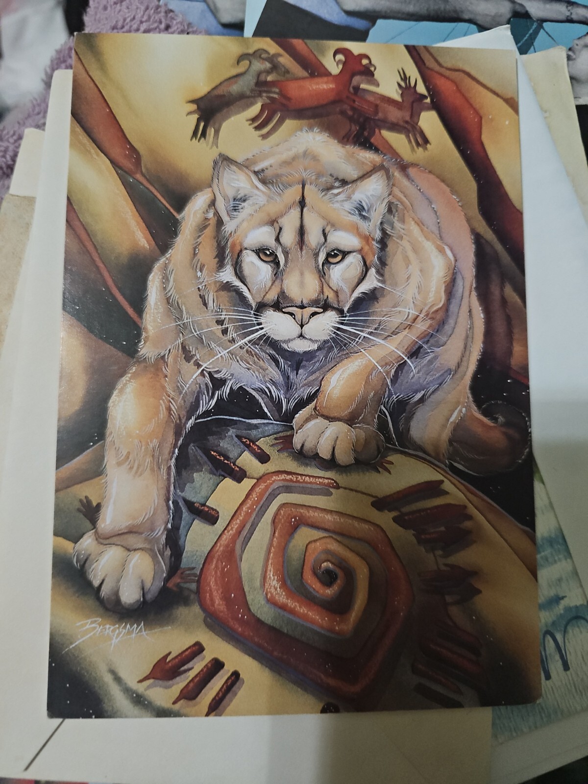 Picture 3 of 11