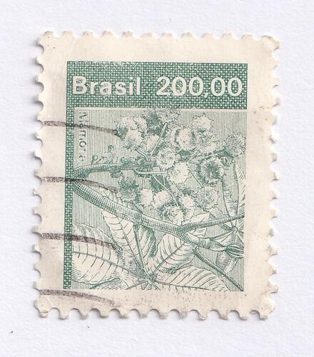 BRAZIL stamp 200.00 cruzeiros Mamona  R307 used - Foto 1 di 1