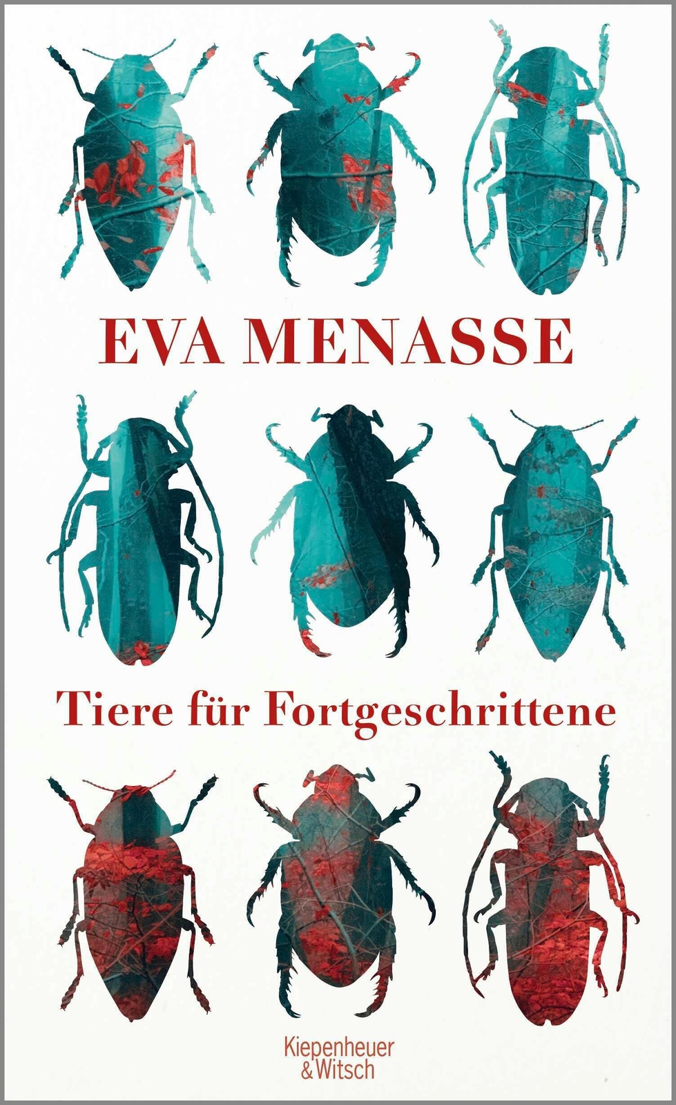 Thumbnail - Tiere Für Fortgeschrittene | Eva Menasse | Deutsch | Buch | 320 S. |