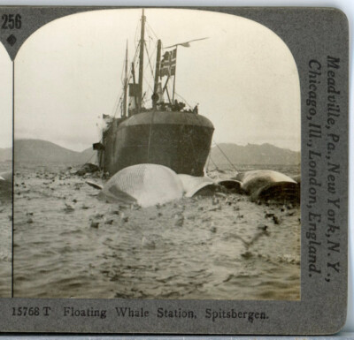 LAPLAND, Floating Whale Station, Spitzbergen--Keystone Rare 1200 Set #256