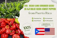Combo 200+ Recao (long coriander seeds) + 35 Aji Dulce Seeds from Puerto Rico