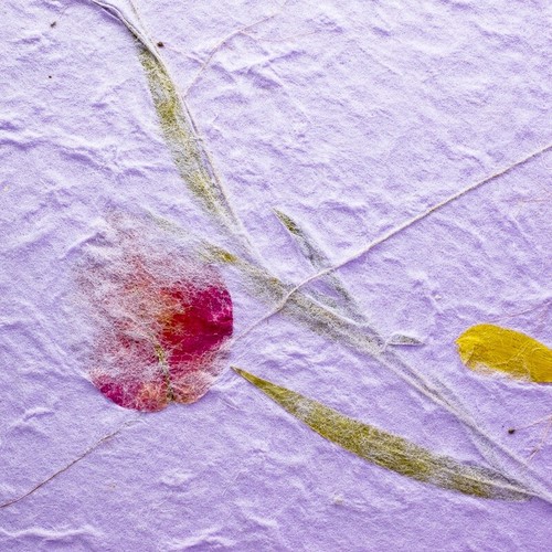 20x Mulberry Sheet Flowers of Pressed Purple Botanical Handmade Paper Book Craft - Bild 9 von 12