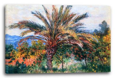 Kunstdruck Claude Monet - Palme bei Bordighera