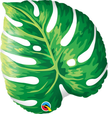 Tropical Philodendron  21in/53cm  #87961