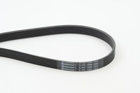Continental Ctam Keilrippenriemen 6PK1580 FüR Alfa Romeo Audi Daihatsu