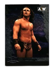 Jungle Boy 2022 SkyBox Metal Universe AEW 15