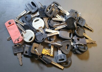 Lot of 35 Keys Security & Misc Chateau Ongaurd First Watch Mini Master Wangtong