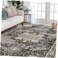 Washable 5x7 Area Rugs - Large Rugs for Living Room Stain Resistant 5'x7' Black