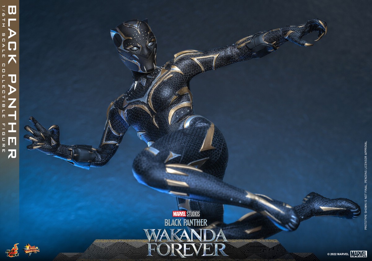 HotToys HT Wakanda Forever Black Panther 1/6th scale Collectible