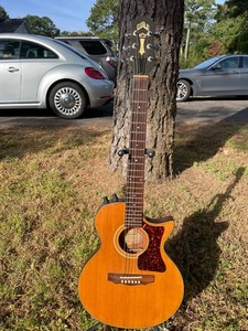 夏休み特別値下げ！GUILD SONGBIRD NAT 夏休み特別値下げ！GUILD SONGBIRD NAT 夏休み特別値下げ！GUILD