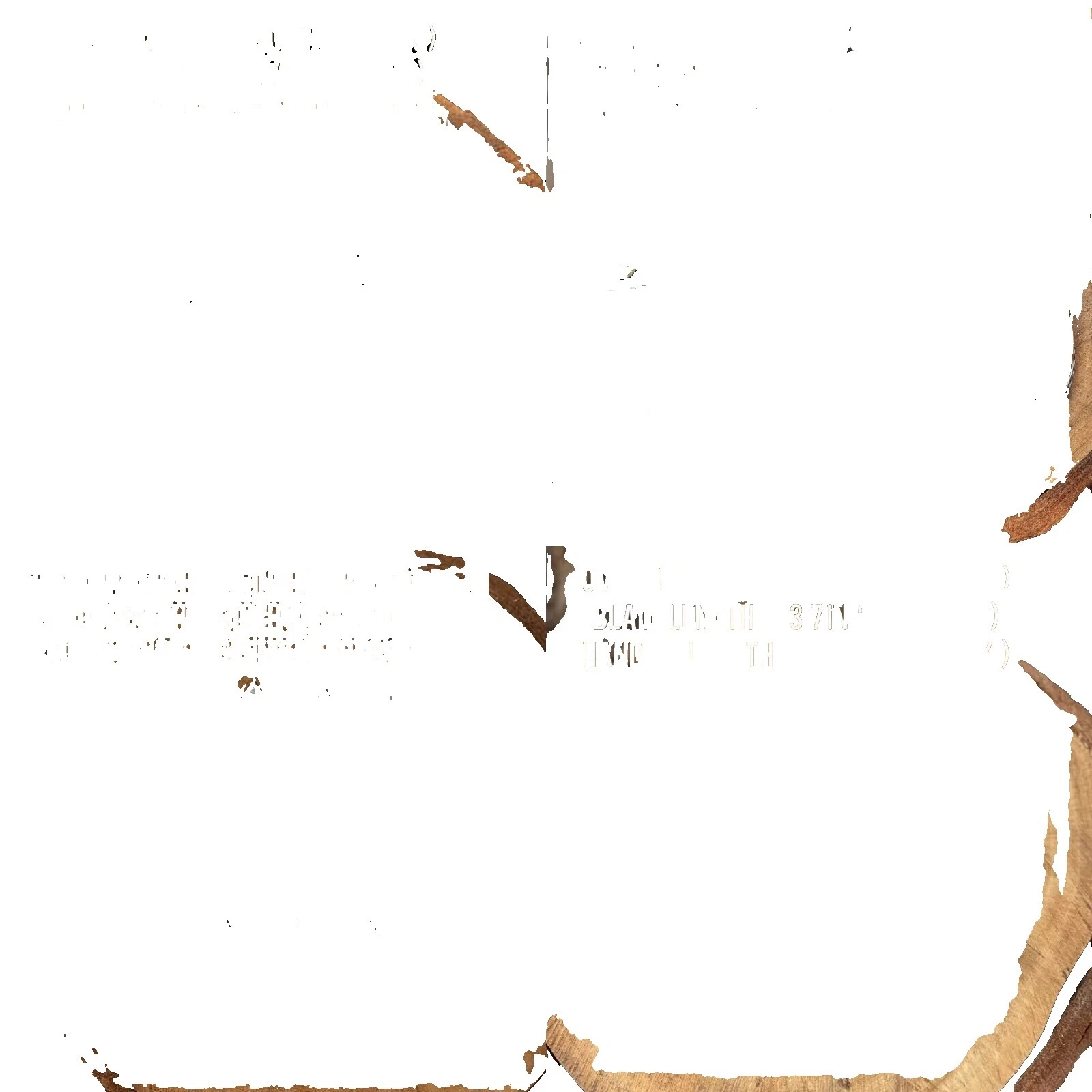 Clip Point Plain Collectible Modern Custom & Handmade Folding Knives