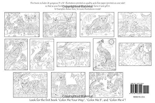 Color Me Your Way 2 oder 3 Malbuch für Erwachsene spiralgebunden von Pamela Smart - Bild 9 von 14