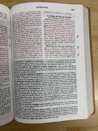 Biblia de Estudio de la Vida Plena Riena valera 1960 piel italina Beige - Picture 6 of 13