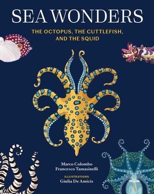 Sea Wonders, Marco Colombo