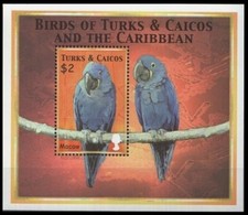 Turks $ Caicos 2000 MNH MS, Parrot, Hyacinth Macaw, Birds