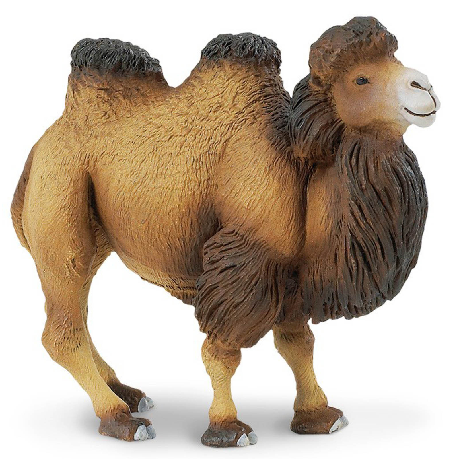 Bactrian Camel Wildlife Figure Safari Ltd NEW Toys Обучающая фигурка