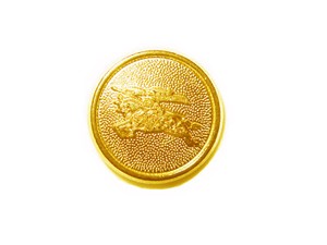 authentic burberry buttons
