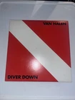 Van Halen~Diver Down Vinyl LP~1982 WB Records~BSK 3677~Jacksonville Press