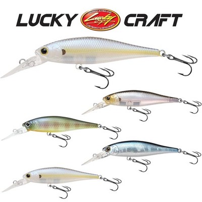 LUCKY CRAFT Pointer 65DD | 6,5cm - 5,4g | Suspending 1,3m - Barsch Zander Hecht
