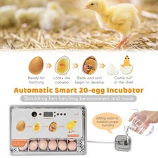 Digital Egg Incubator 20 Eggs Poultry Hatcher With Auto Egg Turning WLTZ