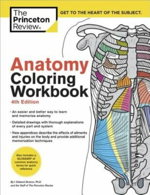 Anatomy Coloring Workbook, 4th Edition: An Easier and Better Way to Learn: New