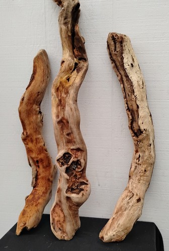 Driftwood Branches Lot Of Three Twisted Branches Craft Wood Decorative DIY