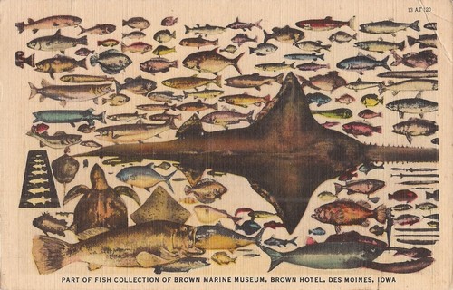 Des Moines - Brown Hotel & Marine Museum Collection - 1946 - ADVERTISING