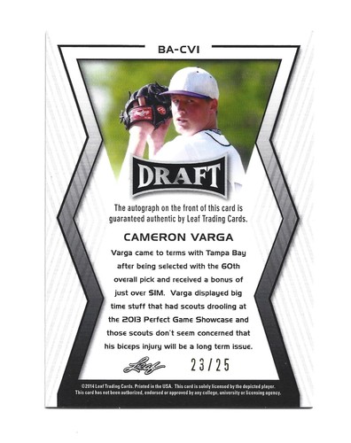 /25 Cameron Varga AUTOGRAPH Tampa Bay Rays 2014 Leaf Metal Draft AUTO Baseball - Picture 2 of 2