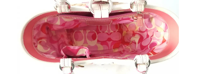 バッグ COACH Butterfly Straw Leather Tote Bag Auth COACH Butterfly Straw Bag 6270 Beige Pink Multi Straw